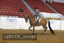 15BUCK_01096 proof