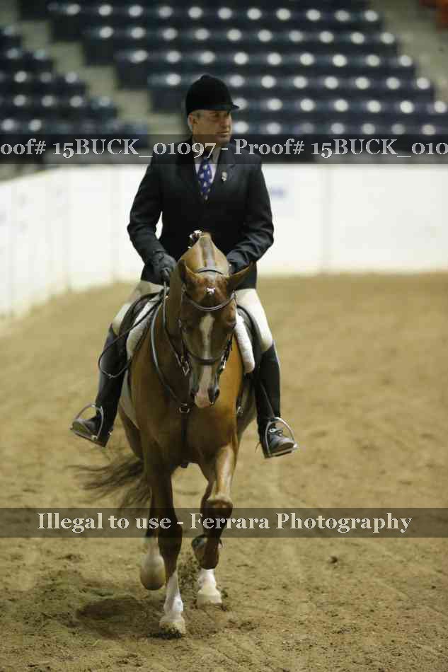 Proof 15BUCK_01097