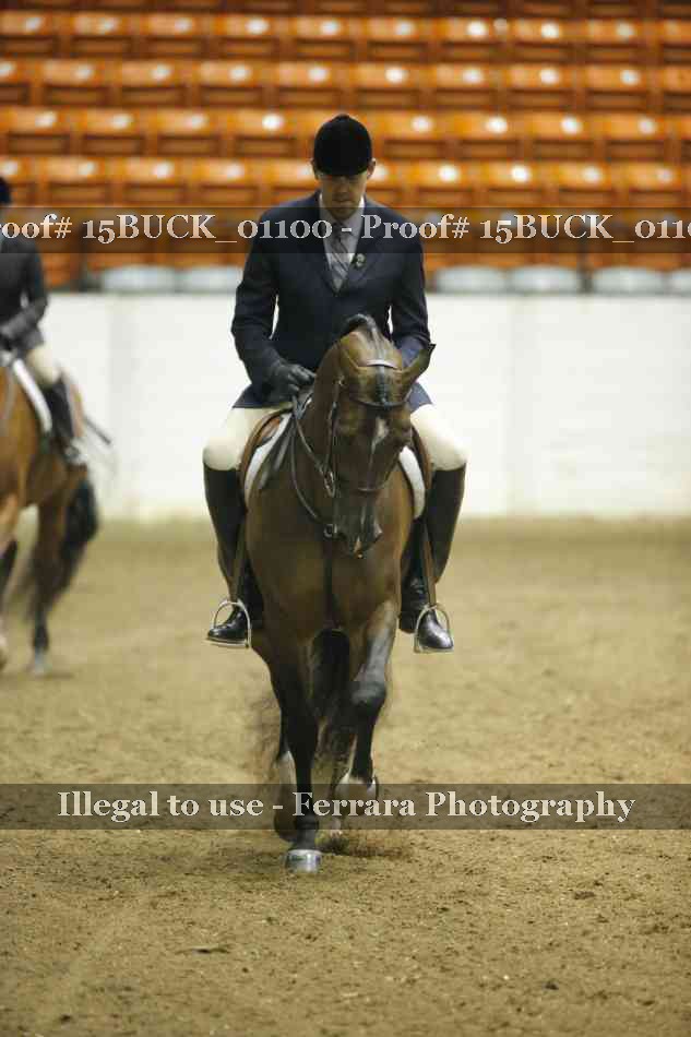 Proof 15BUCK_01100