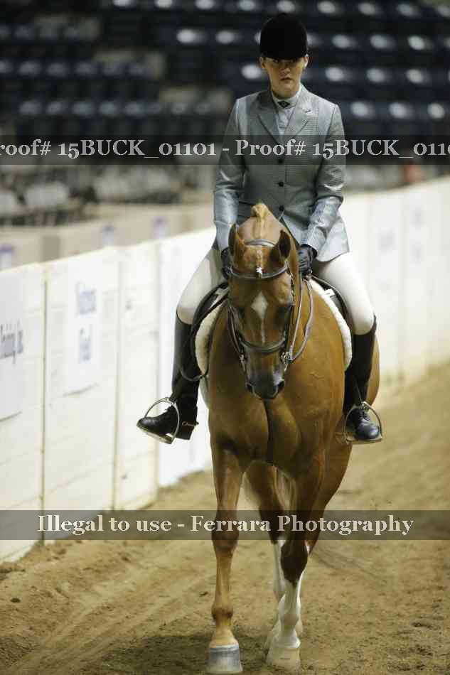 Proof 15BUCK_01101