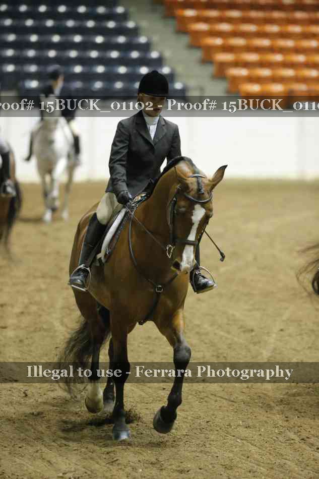 Proof 15BUCK_01102