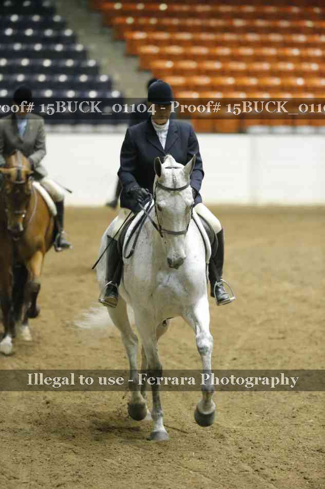 Proof 15BUCK_01104