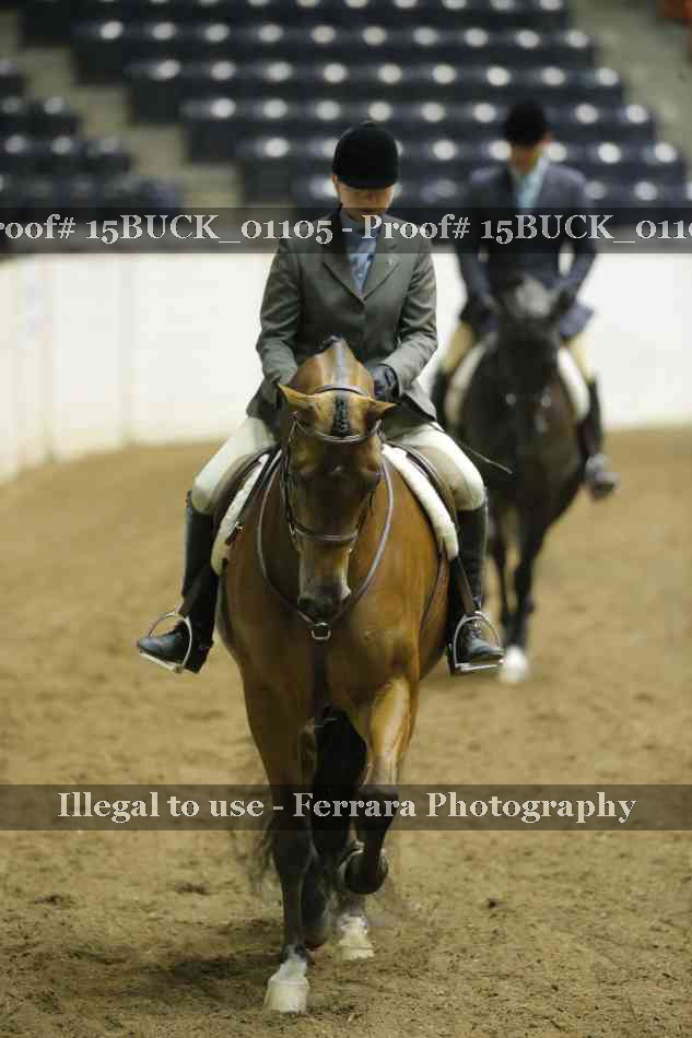 Proof 15BUCK_01105