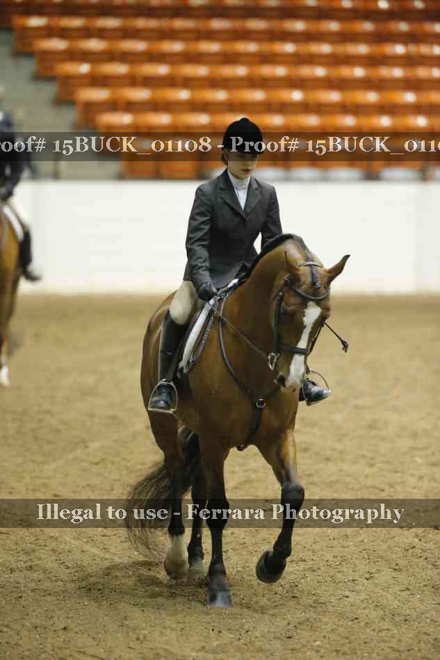 Proof 15BUCK_01108