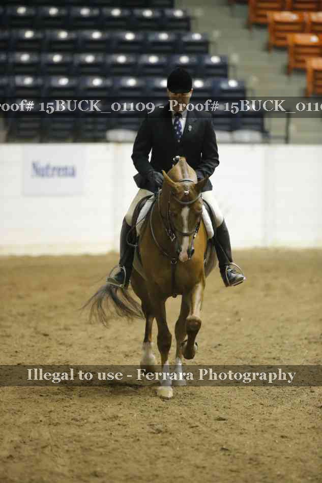 Proof 15BUCK_01109