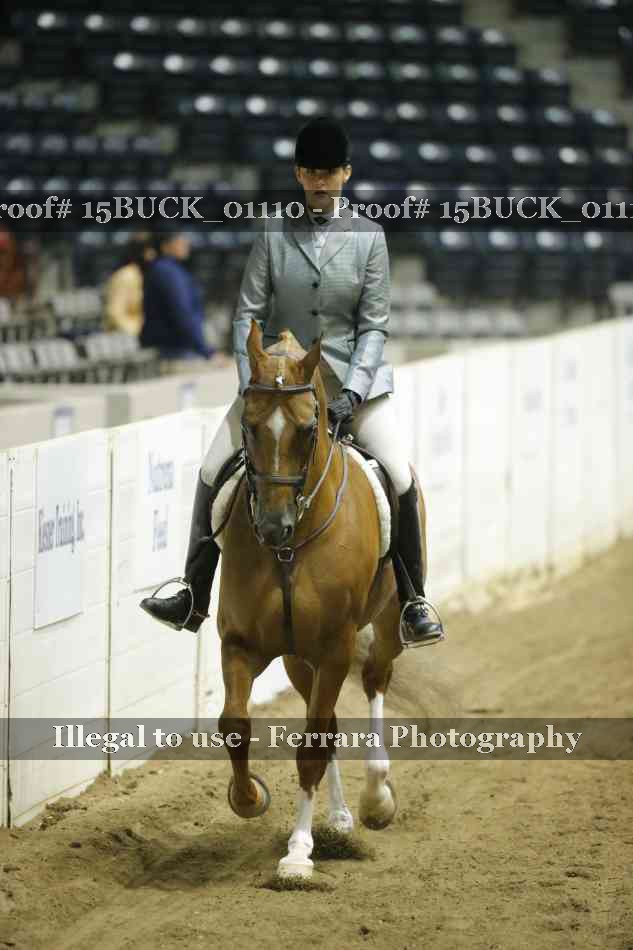 Proof 15BUCK_01110