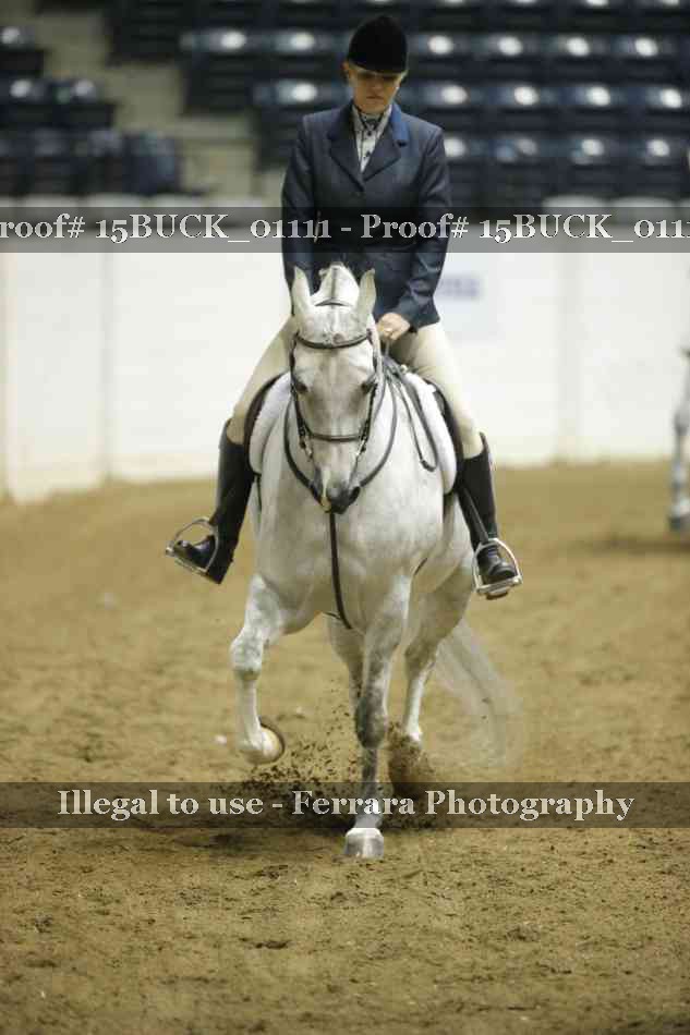Proof 15BUCK_01111