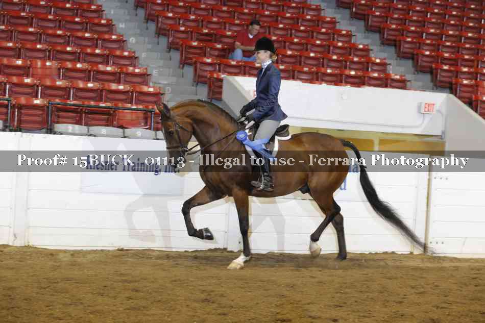 Proof 15BUCK_01113