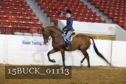 15BUCK_01113 proof