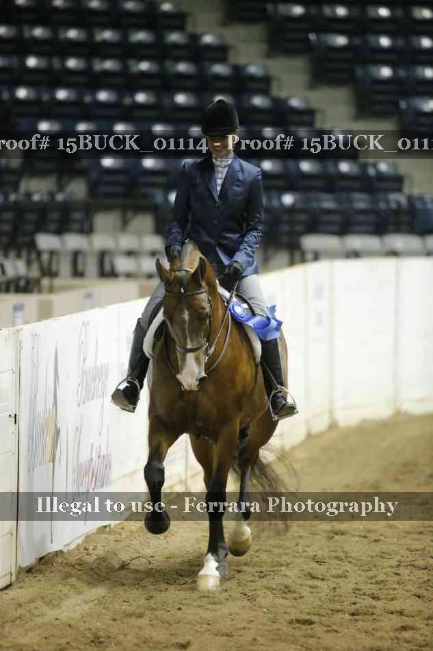 Proof 15BUCK_01114