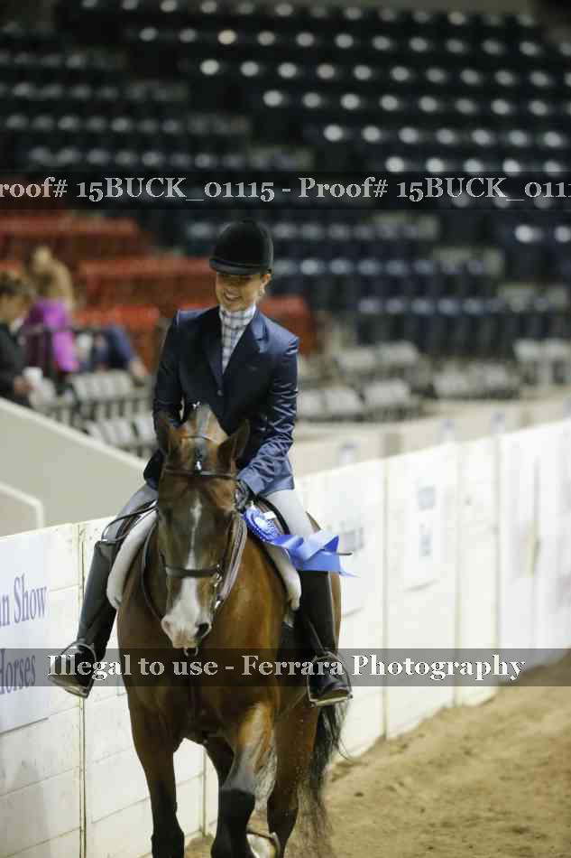 Proof 15BUCK_01115