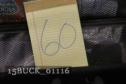 15BUCK_01116 proof