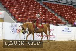 15BUCK_01117 proof