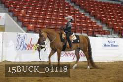 15BUCK_01118 proof