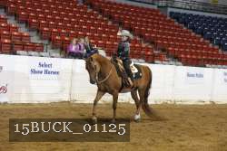 15BUCK_01125 proof
