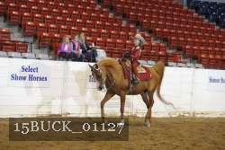 15BUCK_01127 proof