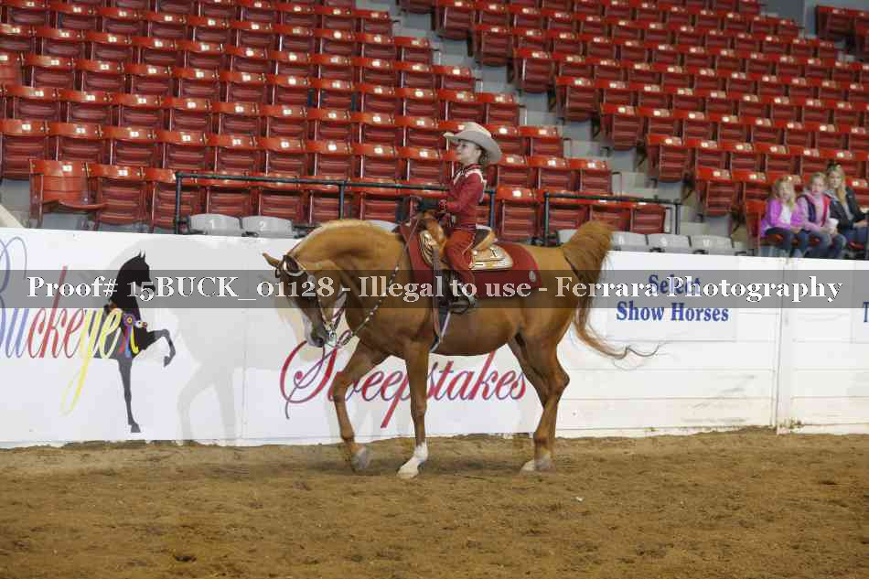Proof 15BUCK_01128
