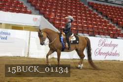 15BUCK_01134 proof