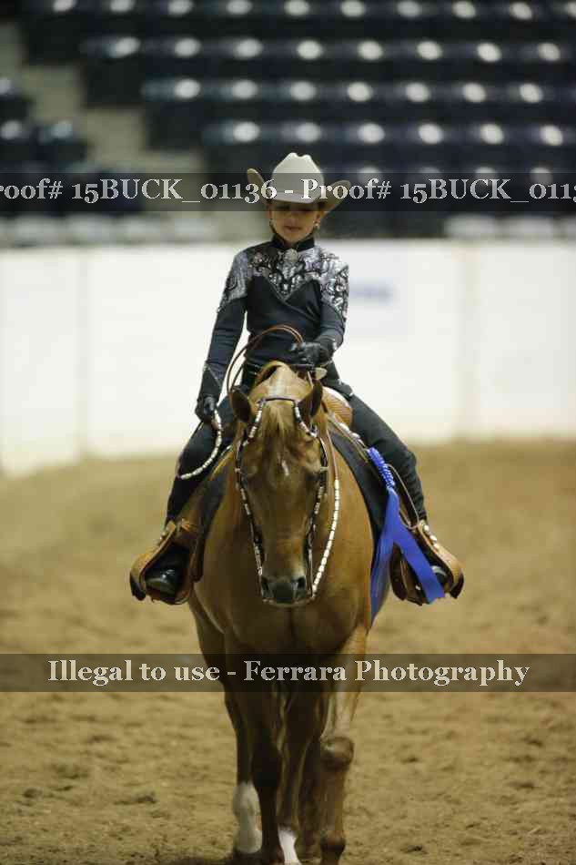 Proof 15BUCK_01136