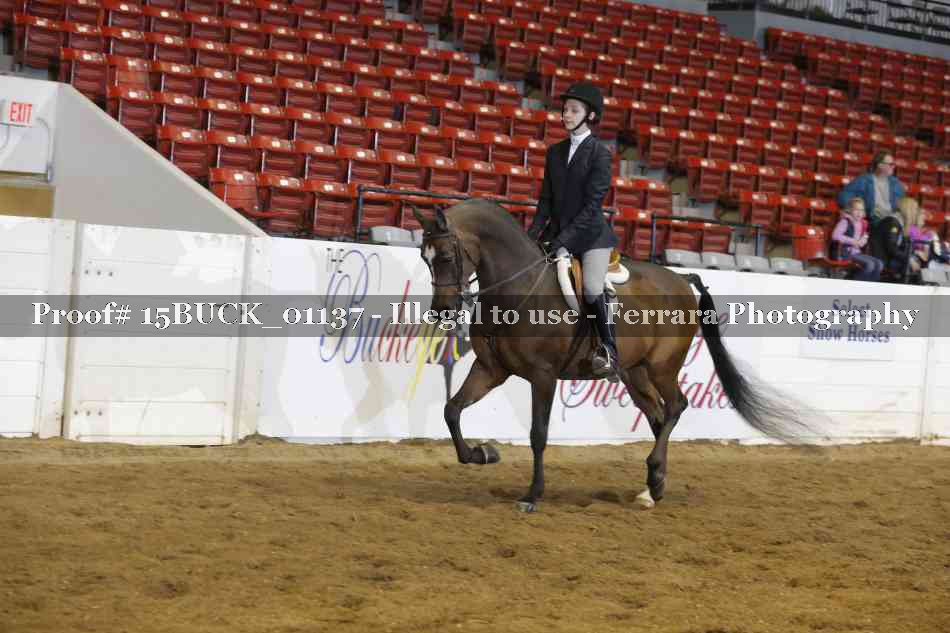 Proof 15BUCK_01137