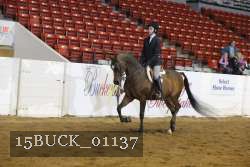 15BUCK_01137 proof