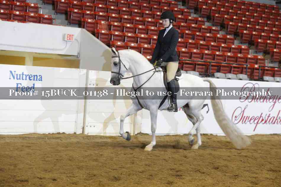 Proof 15BUCK_01138