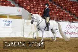 15BUCK_01138 proof