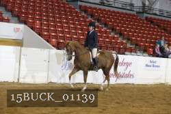 15BUCK_01139 proof