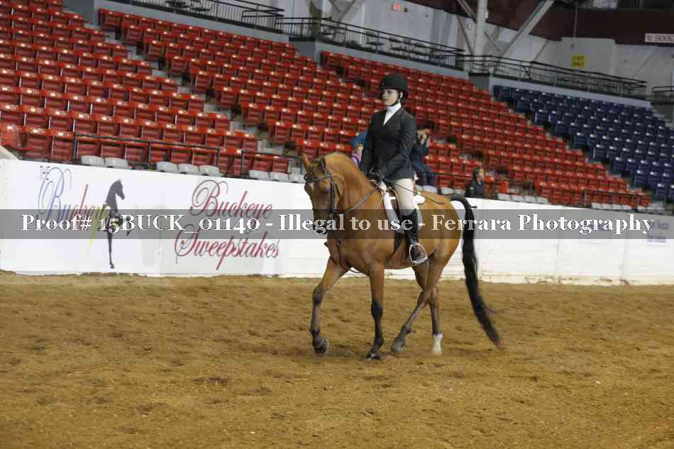 Proof 15BUCK_01140