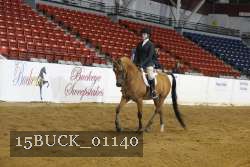 15BUCK_01140 proof
