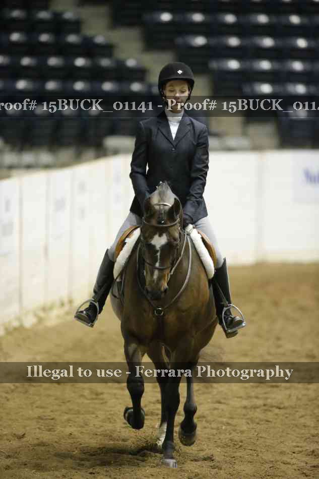 Proof 15BUCK_01141