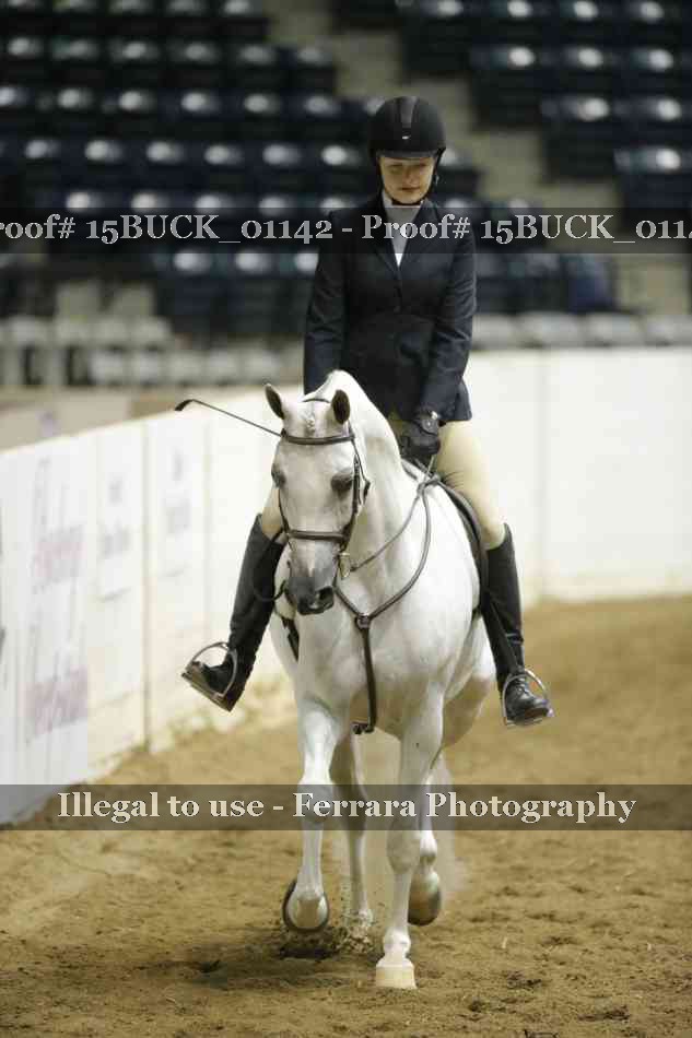 Proof 15BUCK_01142