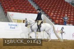 15BUCK_01143 proof