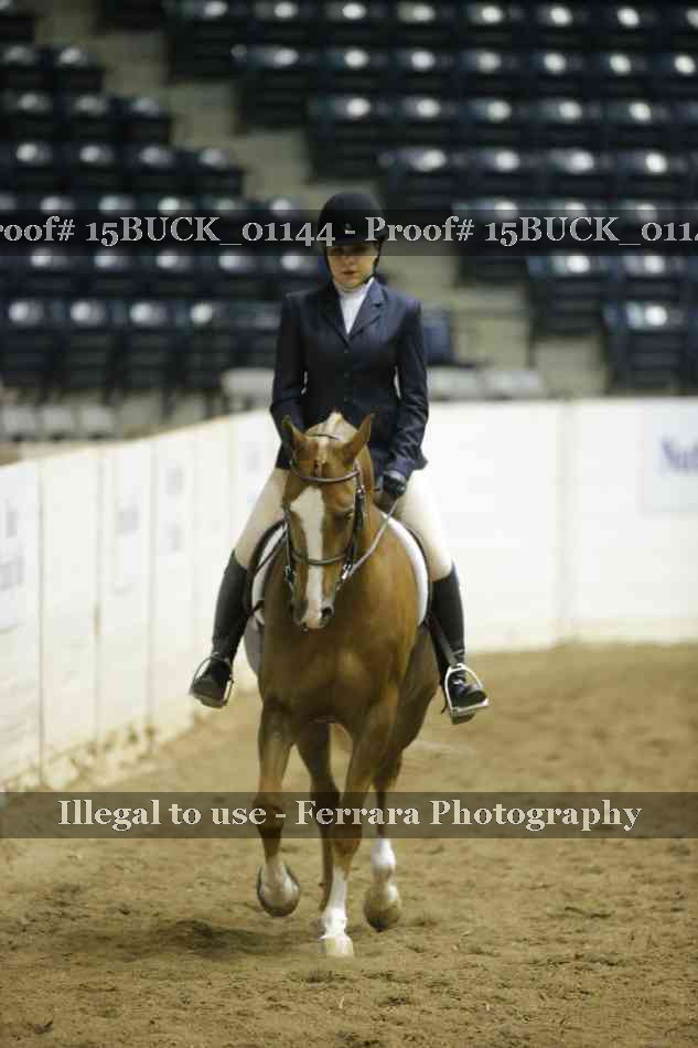 Proof 15BUCK_01144