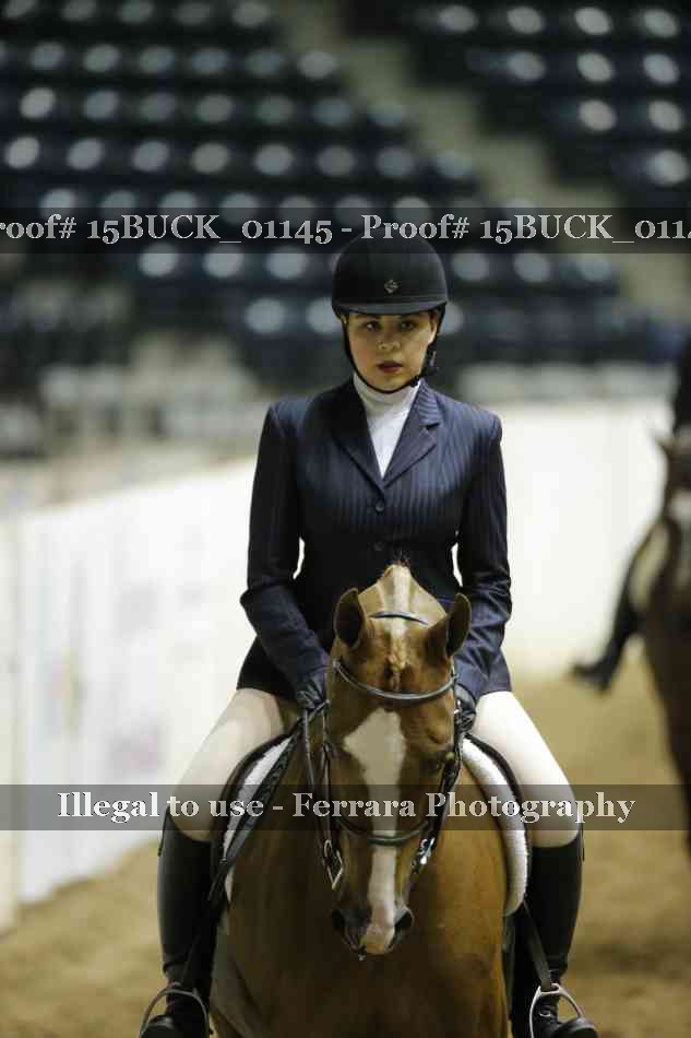 Proof 15BUCK_01145