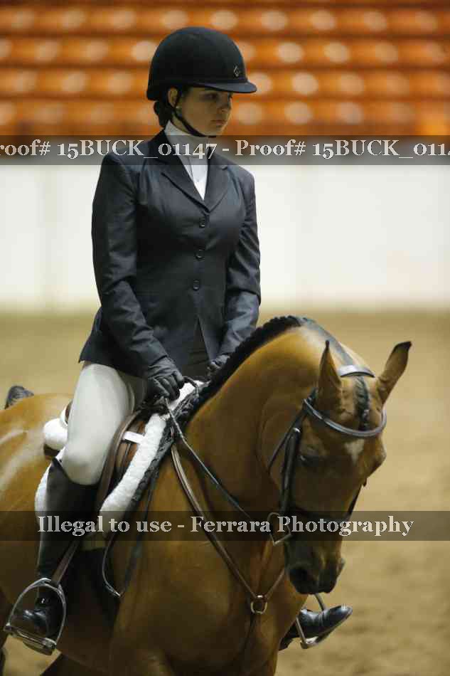Proof 15BUCK_01147