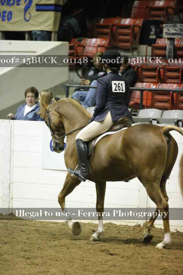 Proof 15BUCK_01148