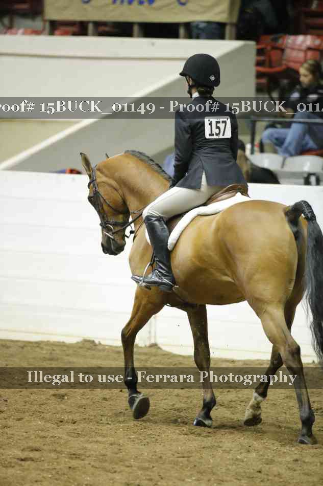 Proof 15BUCK_01149