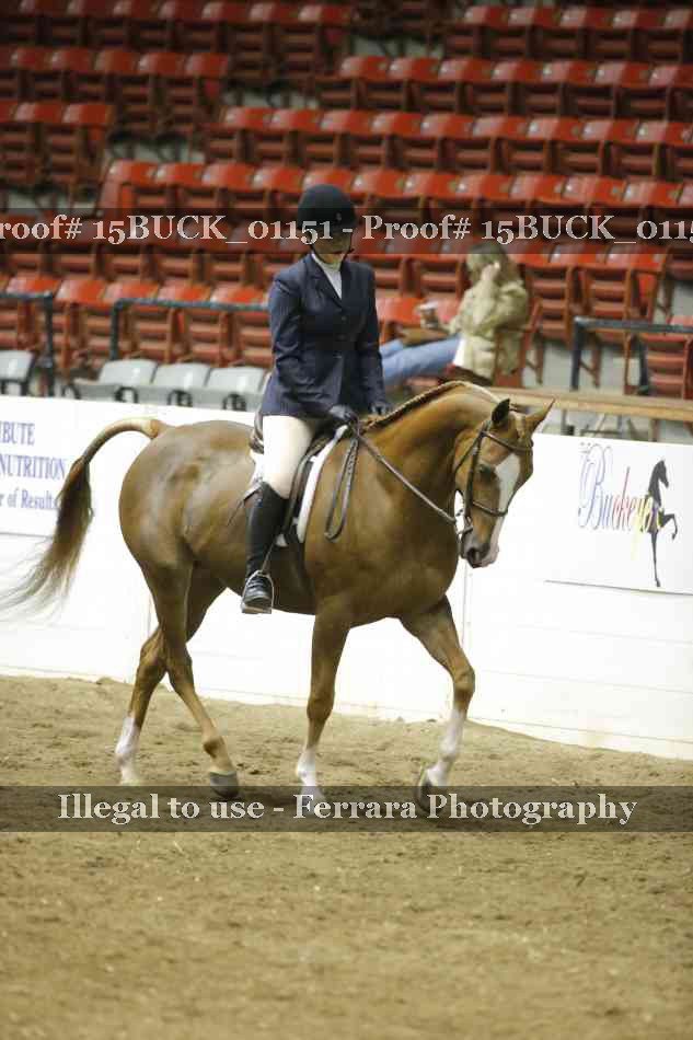 Proof 15BUCK_01151