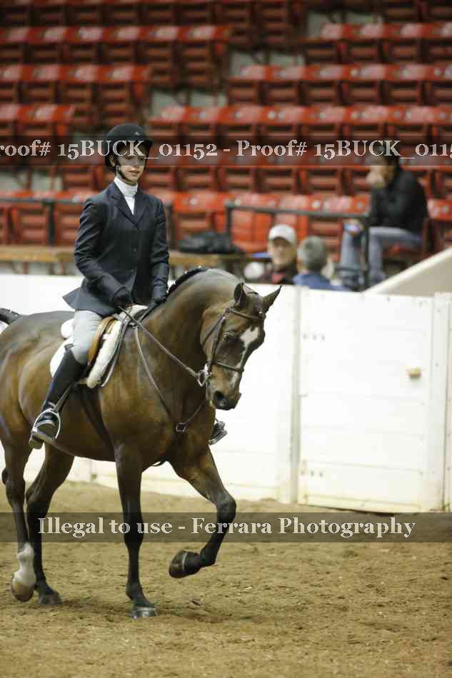 Proof 15BUCK_01152