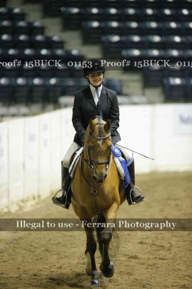 Proof 15BUCK_01153