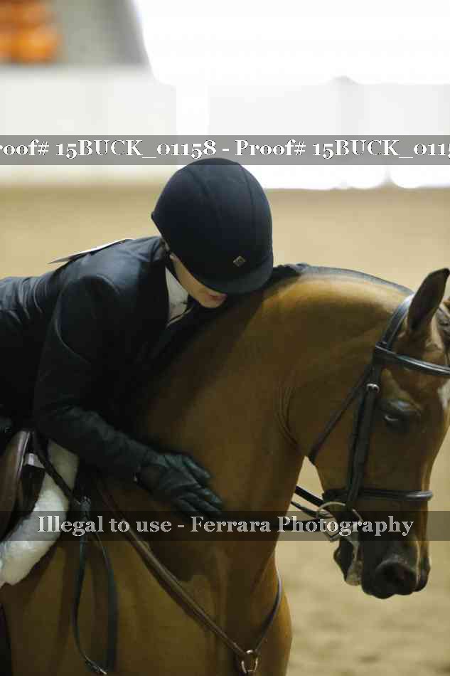 Proof 15BUCK_01158