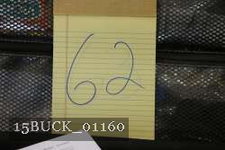 15BUCK_01160 proof