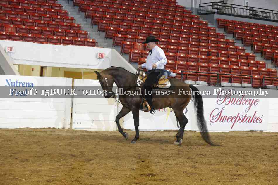 Proof 15BUCK_01163