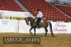 15BUCK_01163 proof