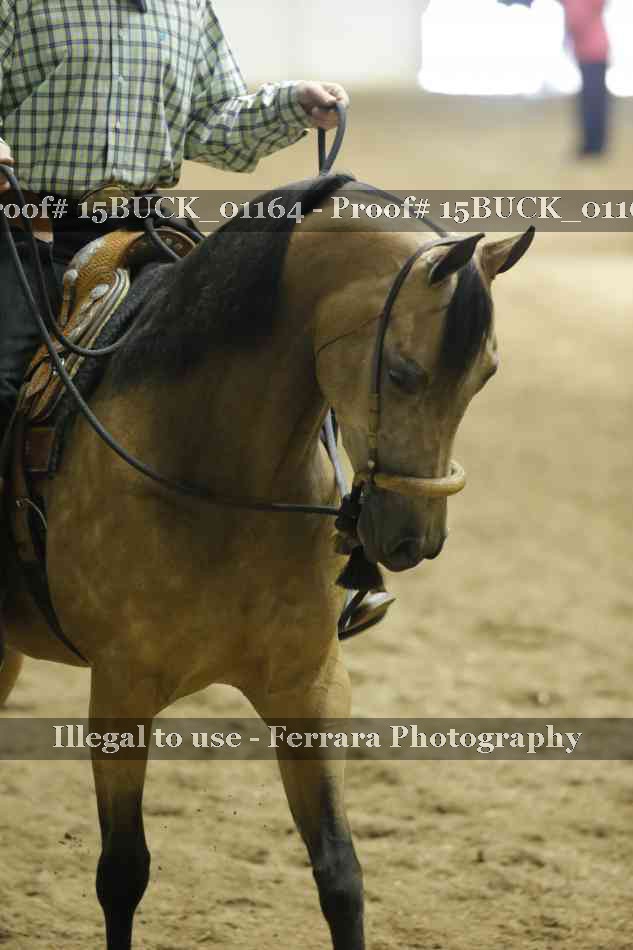 Proof 15BUCK_01164