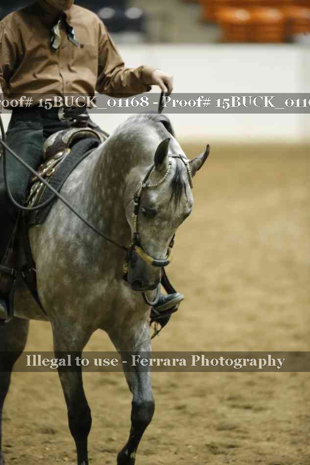 Proof 15BUCK_01168