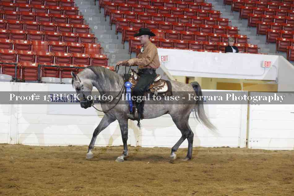 Proof 15BUCK_01169