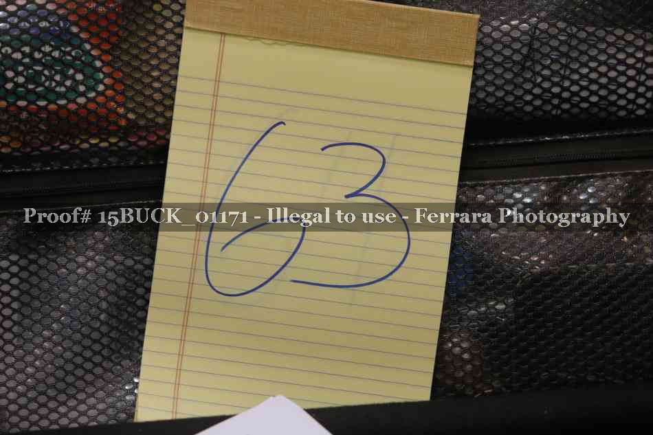 Proof 15BUCK_01171
