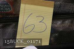 15BUCK_01171 proof